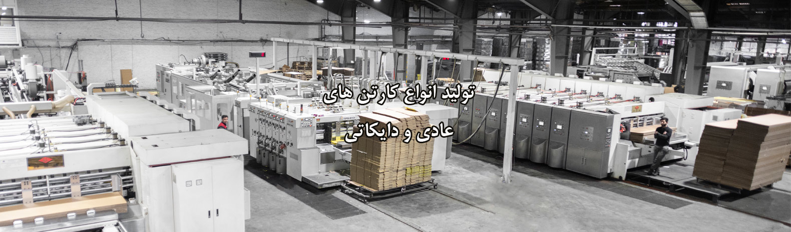 تولید انواع کارتن های عادی و دایکاتی